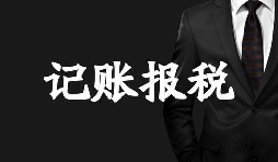 新成立的公司記賬報稅方面有哪些選擇？