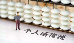 如何在網(wǎng)上打印個(gè)人所得稅納稅記錄？